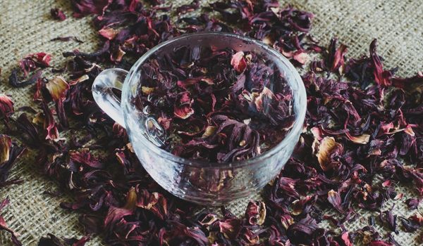 Hibiscus for Hair: Benefits & How to use for Hair growth | Loving Kinky